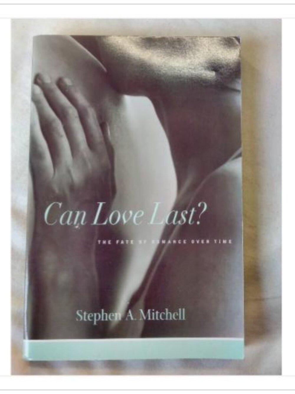 Can Love Last?: The Fate of Romance Over Time Stephen A. Mitchell 2002 Book